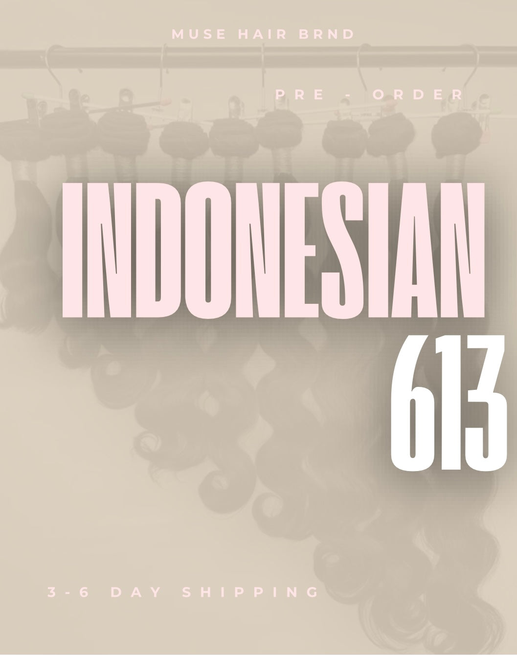 INDONESIAN 613