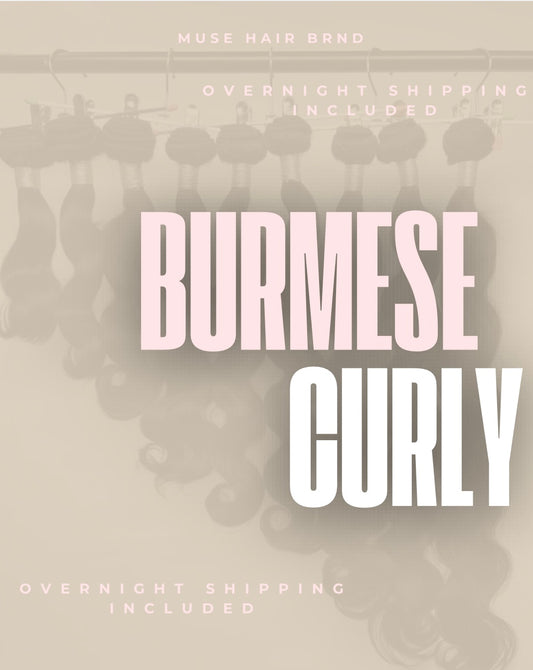 BURMESE CURLY